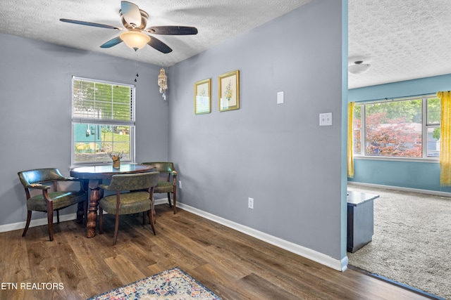 6531 Cedar Bend Rd, Knoxville, TN 37918 - photo 5