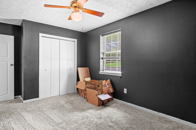 6531 Cedar Bend Rd, Knoxville, TN 37918 - photo 19
