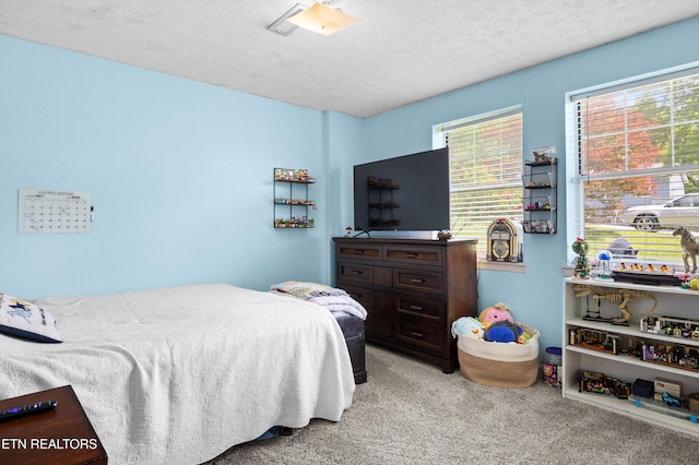 6531 Cedar Bend Rd, Knoxville, TN 37918 - photo 21