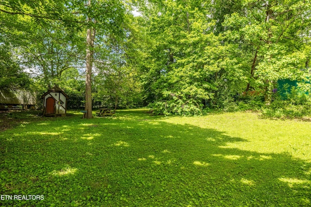 6531 Cedar Bend Rd, Knoxville, TN 37918 - photo 26