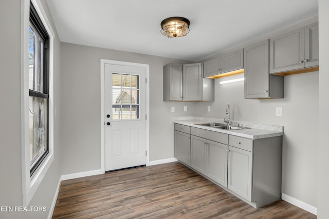 kitchen featuring a sink, baseboards, gray cabinets, and wood finished floors