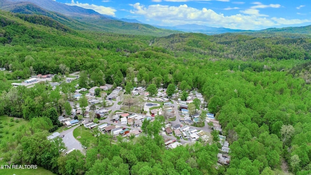 5355 E Pkwy, Cosby, TN 37722 - birds eye view of property with a residential view, a wooded view, and a mountain view