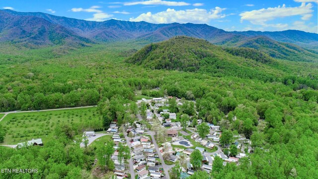 5355 E Pkwy, Cosby, TN 37722 - aerial view with a mountain view and a wooded view