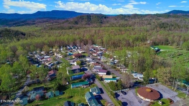5355 E Pkwy, Cosby, TN 37722 - birds eye view of property with a wooded view and a mountain view