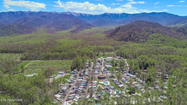 5355 E Pkwy, Cosby, TN 37722 - birds eye view of property featuring a mountain view and a wooded view