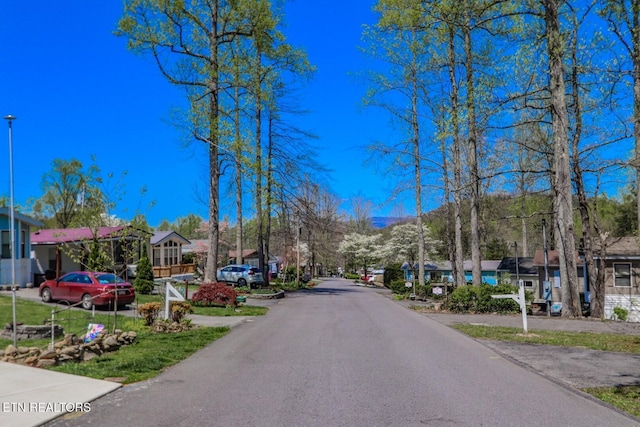 5355 E Pkwy, Cosby, TN 37722 - view of street featuring a residential view