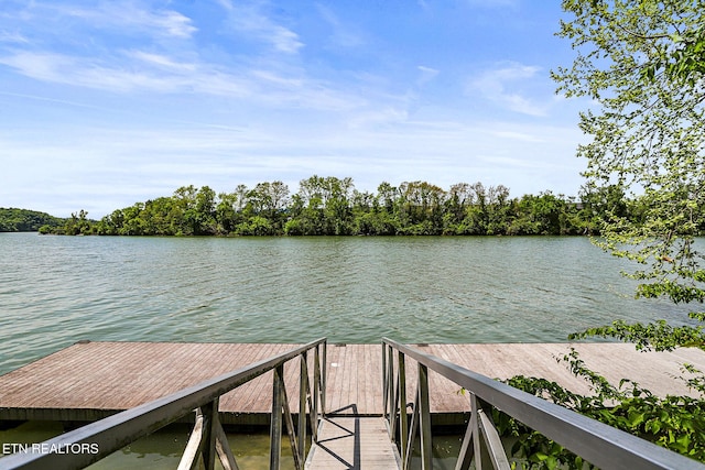 1816 Serene Cove Way, Knoxville, TN 37920 - photo 58