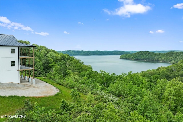 448 Taylor Rd, Byrdstown, TN 38549 - view of water feature featuring a forest view