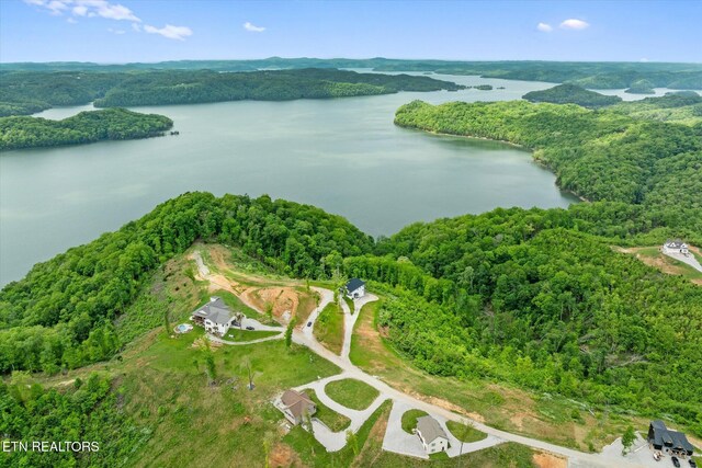 448 Taylor Rd, Byrdstown, TN 38549 - aerial view featuring a water view and a view of trees