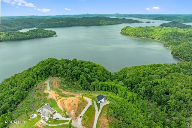 448 Taylor Rd, Byrdstown, TN 38549 - drone / aerial view featuring a water view and a forest view