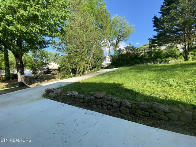 view of yard featuring a patio