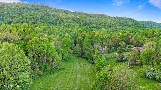 drone / aerial view with a view of trees and a mountain view