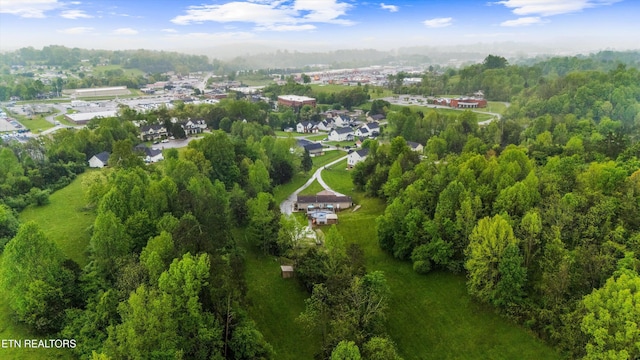 aerial view with a forest view