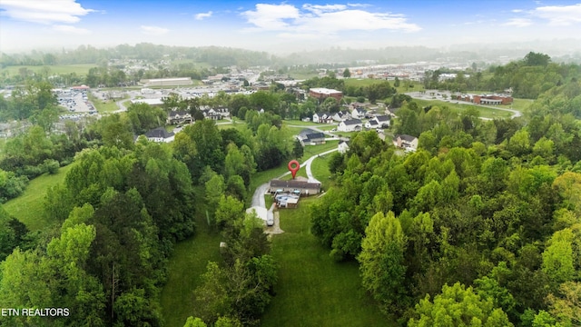 bird's eye view