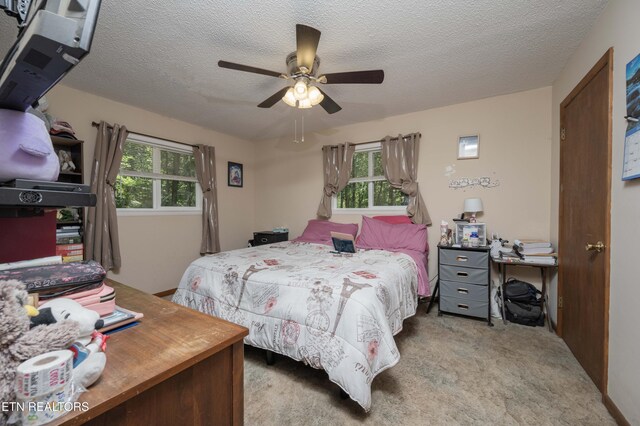 149 Jada Dr, Crossville, TN 38555 - photo 16