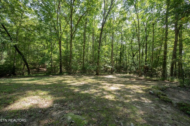 149 Jada Dr, Crossville, TN 38555 - photo 26