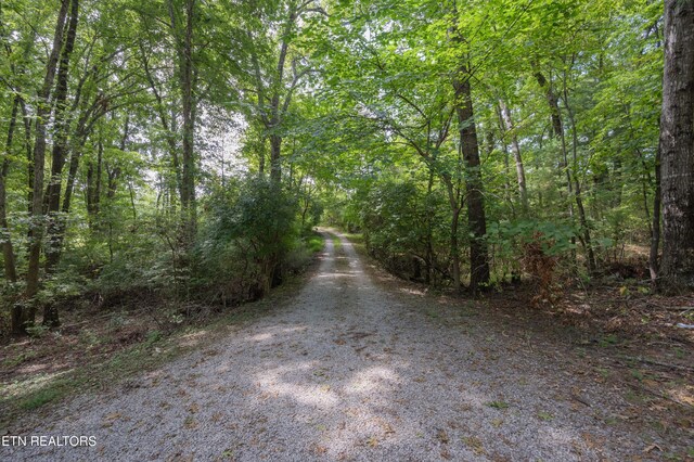 149 Jada Dr, Crossville, TN 38555 - photo 33