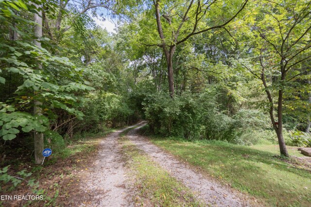 149 Jada Dr, Crossville, TN 38555 - photo 35