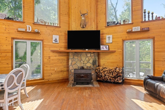 living area with wooden walls and a wood stove