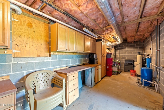 unfinished below grade area with concrete block wall
