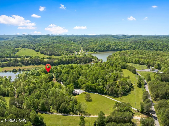 aerial view featuring a water view and a wooded view