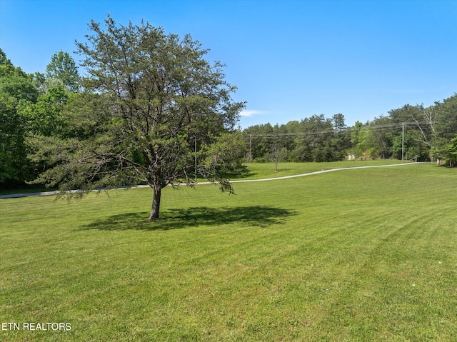 view of community with a lawn
