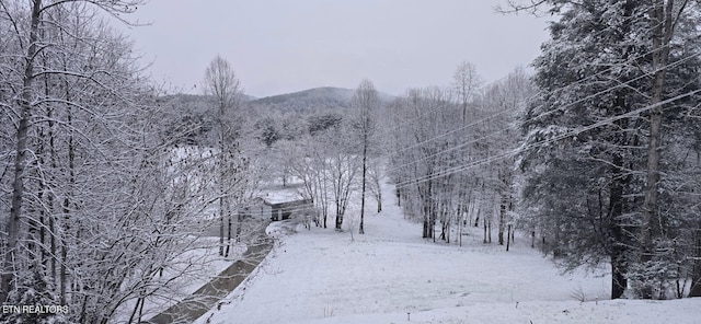 view of mountain feature featuring a forest view
