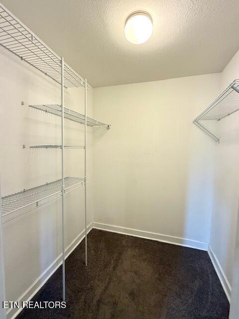217 Loomis St, Tellico Plains, TN 37385 - walk in closet featuring dark colored carpet