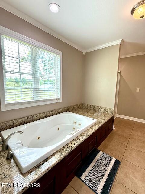 217 Loomis St, Tellico Plains, TN 37385 - bathroom with crown molding, plenty of natural light, and tile patterned flooring