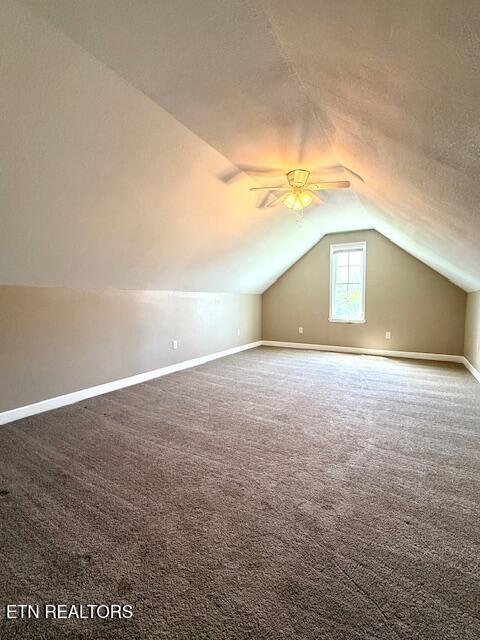 217 Loomis St, Tellico Plains, TN 37385 - additional living space featuring carpet floors, baseboards, a ceiling fan, and vaulted ceiling