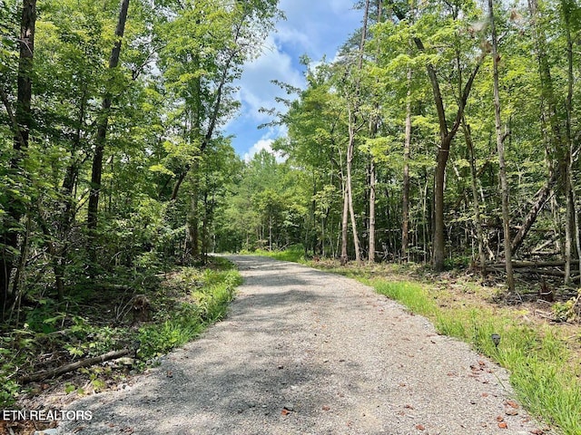 13681 Lantana Rd, Crossville, TN 38572 - photo 1