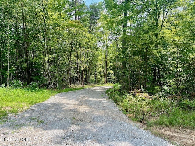 13681 Lantana Rd, Crossville, TN 38572 - photo 2