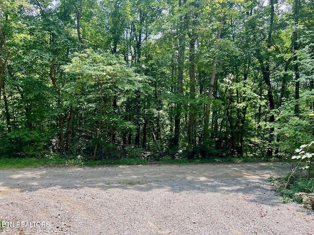 13681 Lantana Rd, Crossville, TN 38572 - photo 3