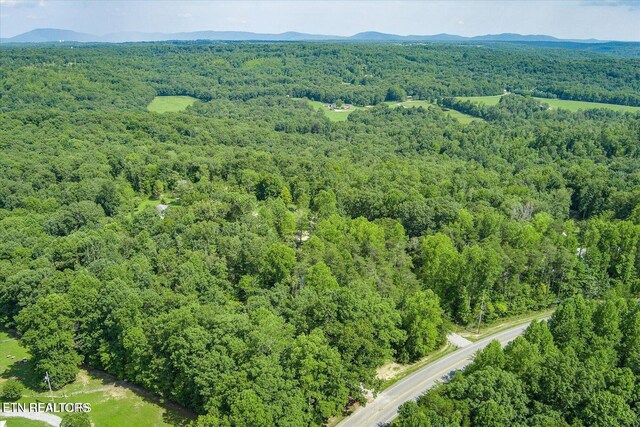 13681 Lantana Rd, Crossville, TN 38572 - photo 5