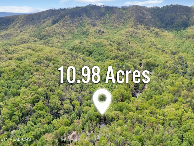 drone / aerial view with a wooded view and a mountain view