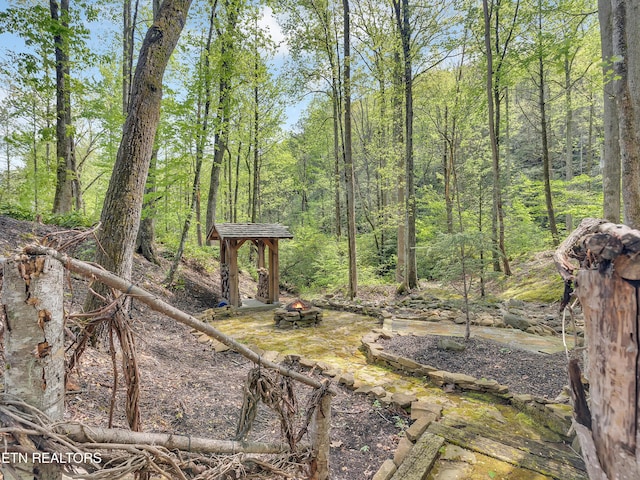 view of yard featuring a view of trees and an outdoor fire pit