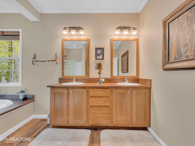 full bath with a sink, wood finished floors, and ornamental molding
