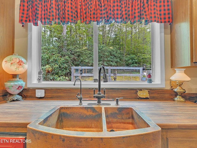room details with a sink and wooden counters