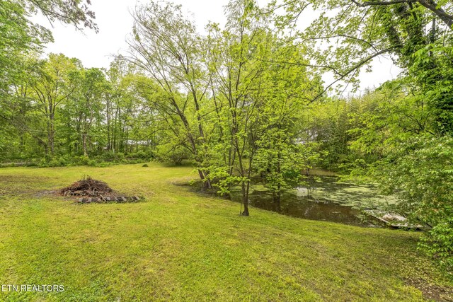 2312 Belt Rd, Knoxville, TN 37920 - photo 26