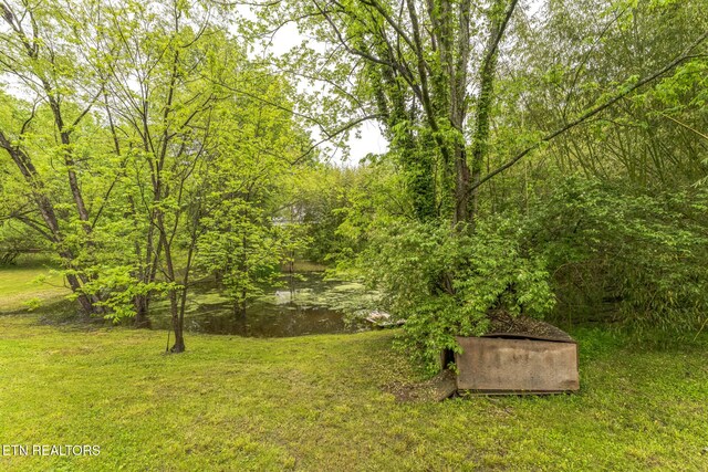 2312 Belt Rd, Knoxville, TN 37920 - photo 27