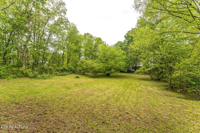 2312 Belt Rd, Knoxville, TN 37920 - photo 30