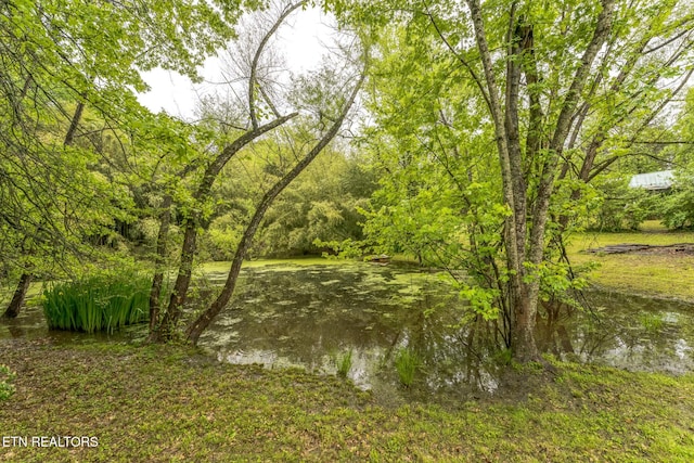 2312 Belt Rd, Knoxville, TN 37920 - photo 31