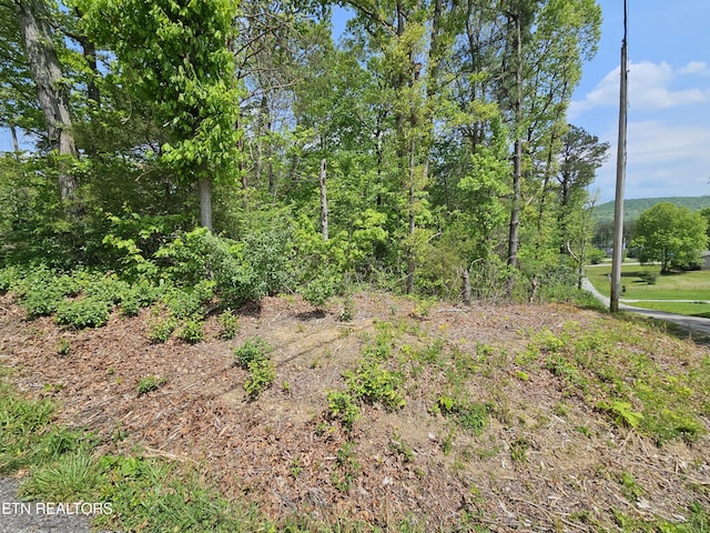 Sutherland Dr, Helenwood, TN 37755 - photo 1