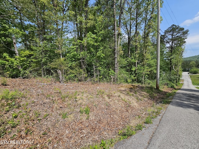 Sutherland Dr, Helenwood, TN 37755 - photo 2