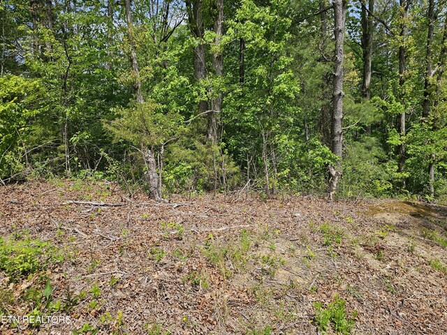 Sutherland Dr, Helenwood, TN 37755 - photo 3
