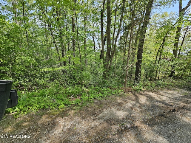 Sutherland Dr, Helenwood, TN 37755 - photo 6
