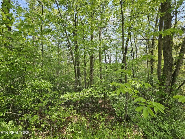 Sutherland Dr, Helenwood, TN 37755 - photo 7