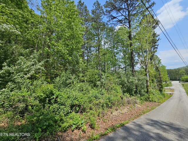 Sutherland Dr, Helenwood, TN 37755 - photo 9