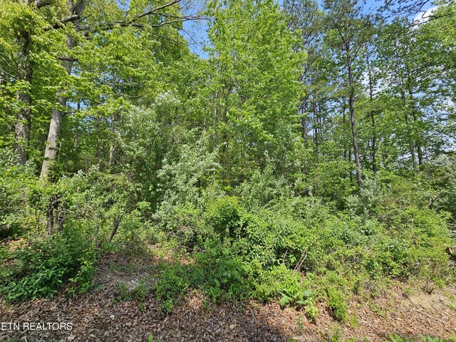 Sutherland Dr, Helenwood, TN 37755 - photo 10
