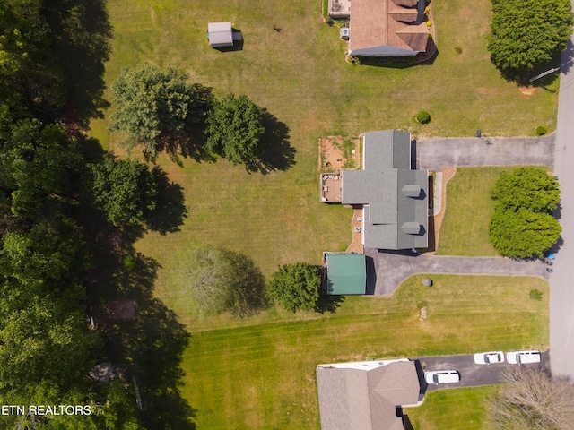 drone / aerial view